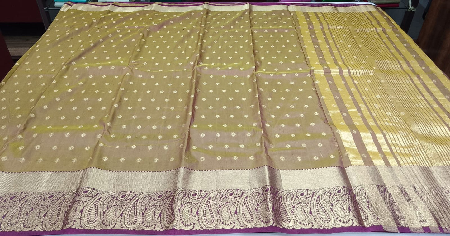Golden Beige Tussar Semi Silk Saree with Antique Paisley Zari Border