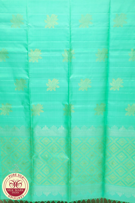 Green with gold self boarder less Pure Silk Saree