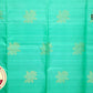 Green with gold self boarder less Pure Silk Saree