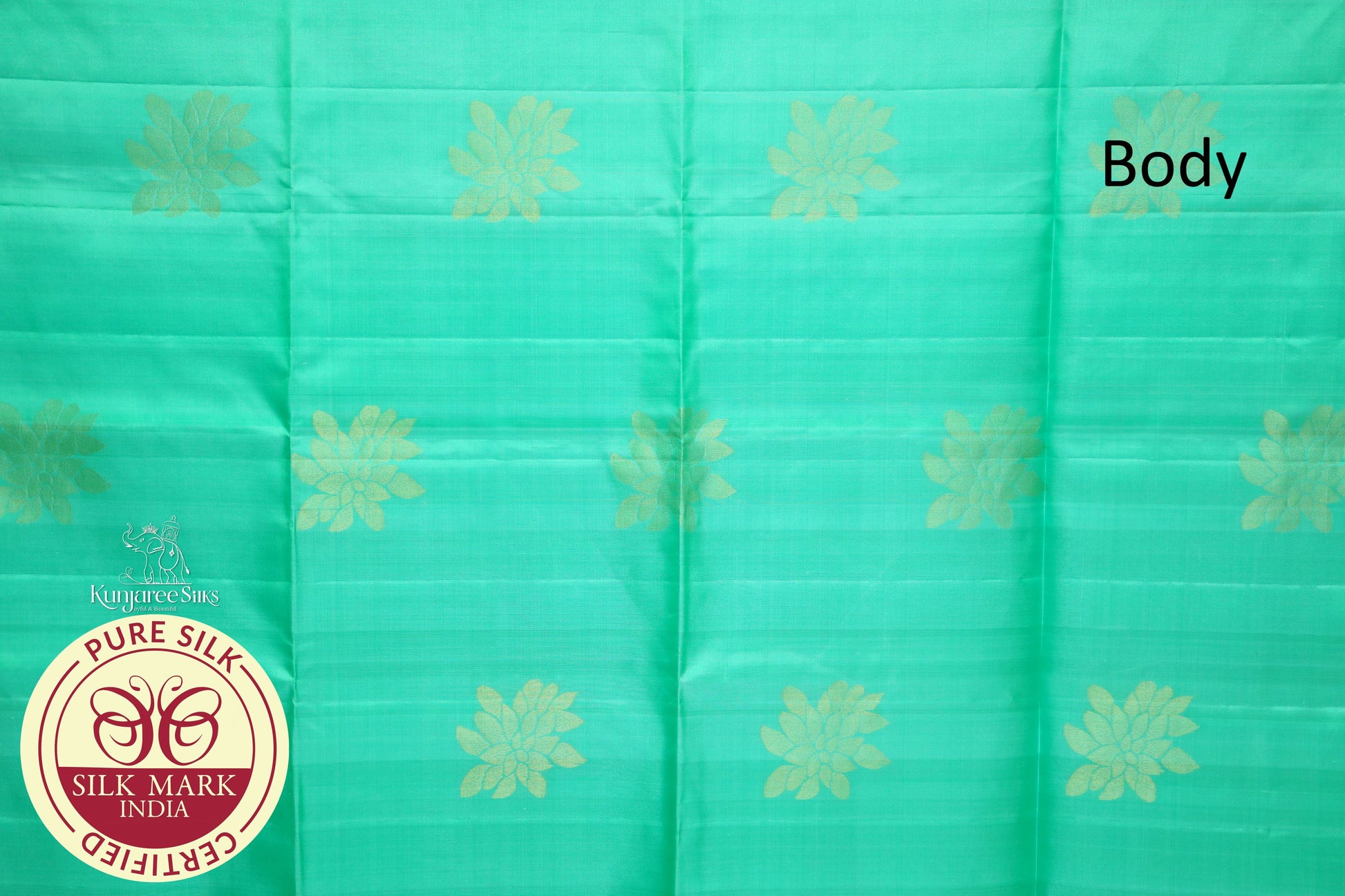 Green with gold self boarder less Pure Silk Saree