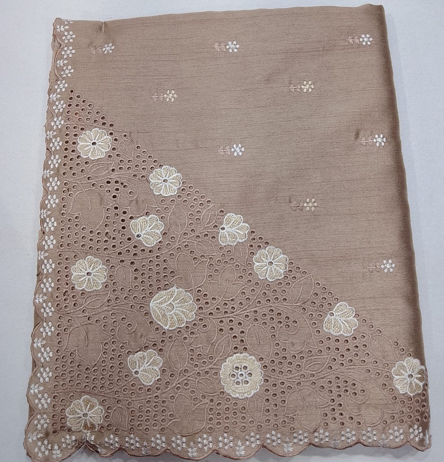 Champagne Beige Tussar Cutwork Semi Silk Saree with Elegant Floral Embroidery
