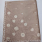Champagne Beige Tussar Cutwork Semi Silk Saree with Elegant Floral Embroidery