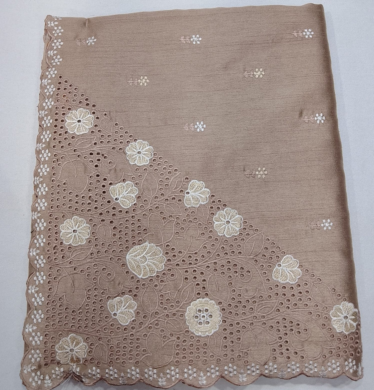 Champagne Beige Tussar Cutwork Semi Silk Saree with Elegant Floral Embroidery