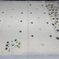 Off-White Kerala Cotton Saree with Black & Parrot Green Floral and Silver Kasavu Border