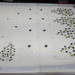 Off-White Kerala Cotton Saree with Black & Parrot Green Leaf Motifs and Silver Kasavu Border