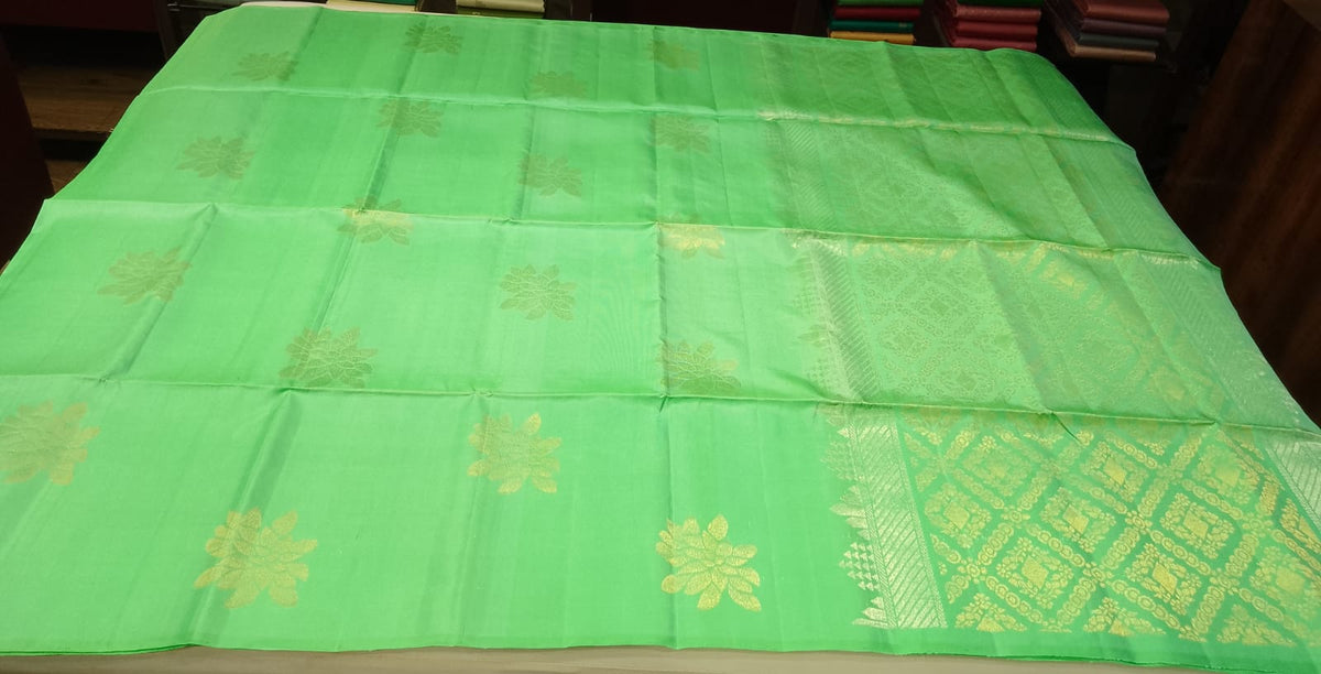 Pure Handloom Soft Silk Borderless Dual-Tone Light Green Saree with Gold Floral Motifs